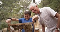 ניידת החלומות - חגיגה בכוורת