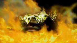 יחי המלך!  - פרק 15