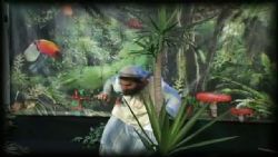 אבן הברקת - פרק ה' 