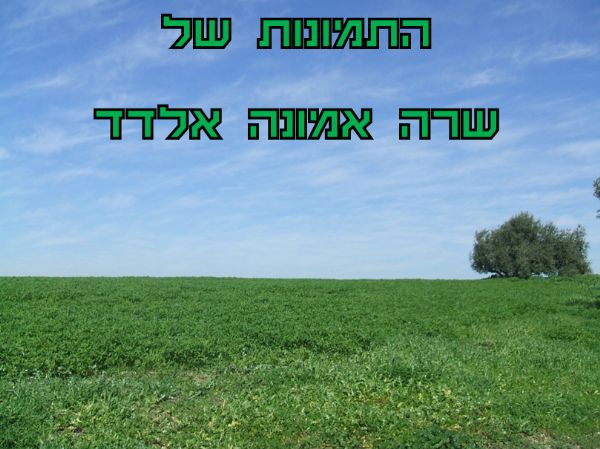 שרה אמונה אלדד