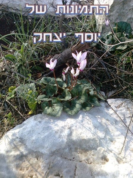 יוסף יצחק