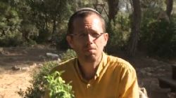 עציץ בלוויה