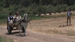 פרק 5 - החמצה