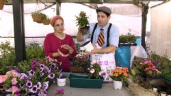  פרק 2 - גינה ביתית