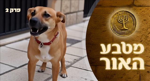 מטבע האור - פרק 2 - כלב לשונו