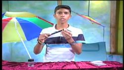 מקל הקוסם בולע ספגטי - פתרון התעלומה